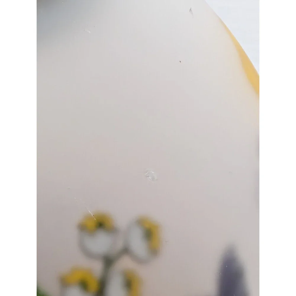Shanghai Union Arts & Craft Co ROMANTIC FLOWERS Lamp Frosted Shade